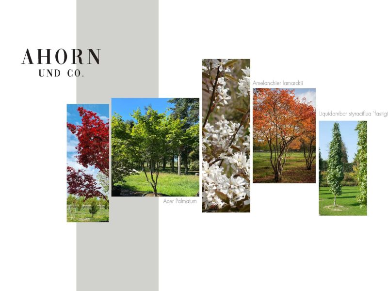 Gartenplaner Kürrenberg