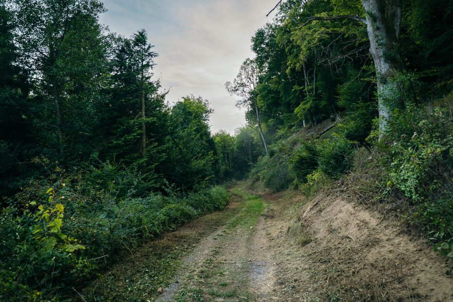 Margreen_Traktor _25_web (79 von 81)