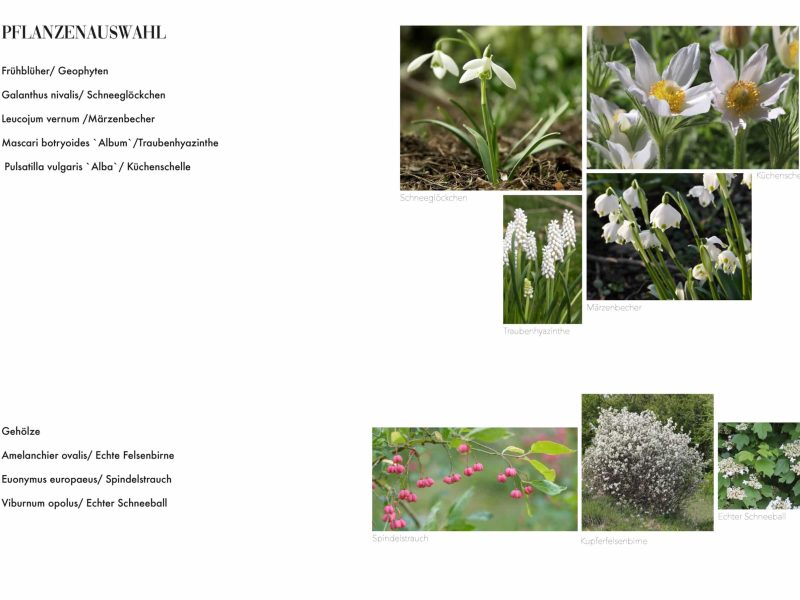 Gartenplaner Weibern