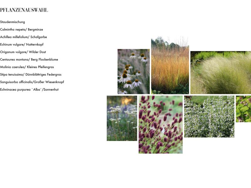 Gartenplaner Volkesfeld