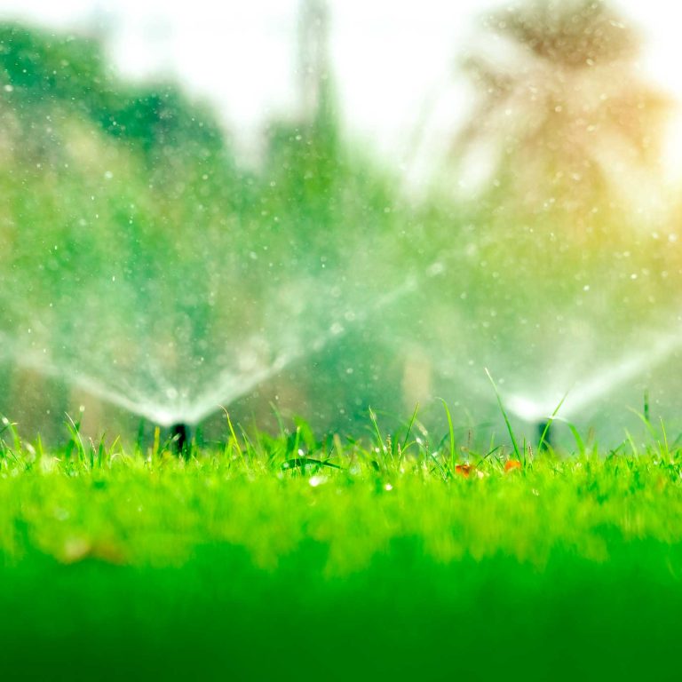 shutterstock_1271922460