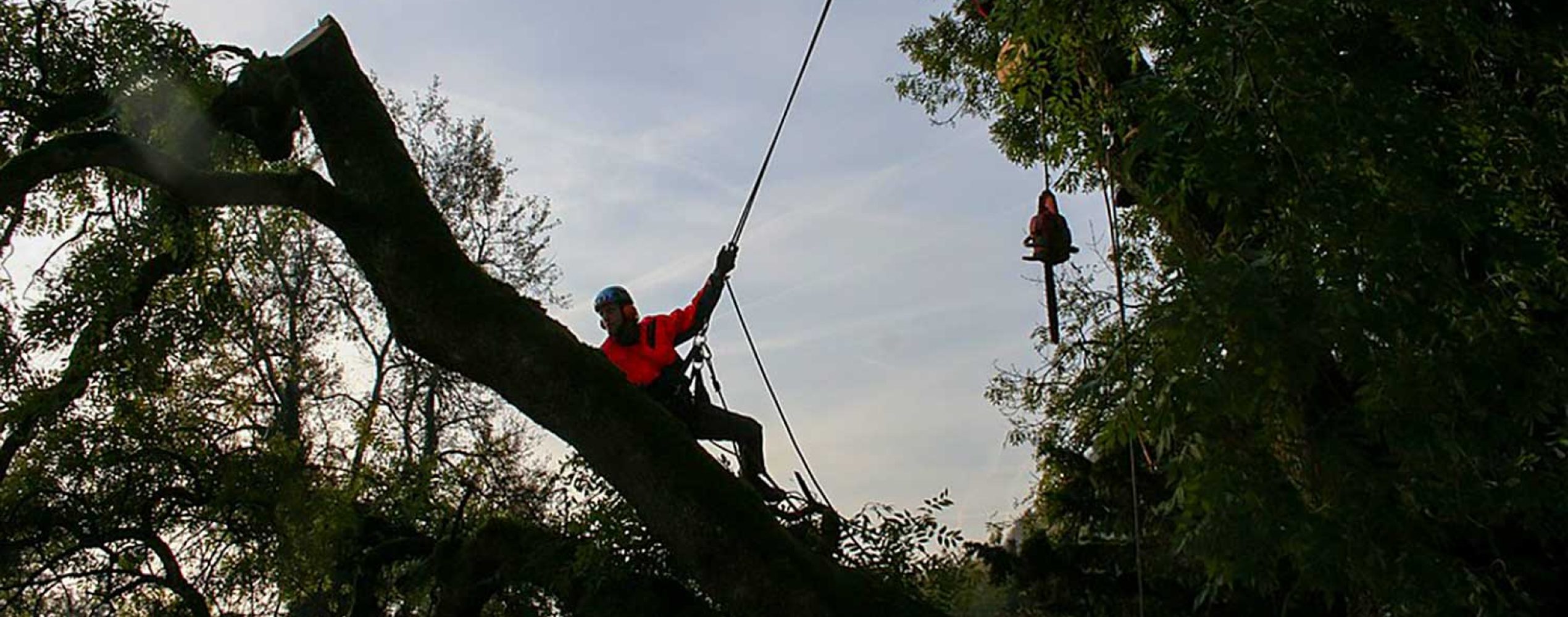 tree-climbers-4820109_960_720